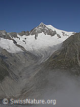 F000062: Eggishorn: Aletschhorn und Mittelaletschgletscher