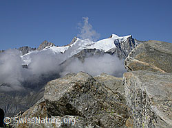 F000074: Eggishorn: Gross Fusshorn, Rotstock, Geisshorn, Sattelhorn