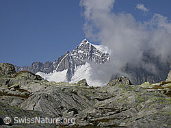 F000079: Aletschhorn (Tälligrat)