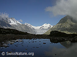 Foto: Bergsee mit Aletschgletscher