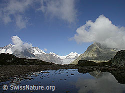 Foto: Bergsee mit Spiegelung im Aletschgebiet