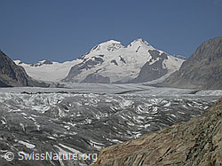Foto: Aletschgletscher, Konkordiaplatz, Mönch und Trugberg