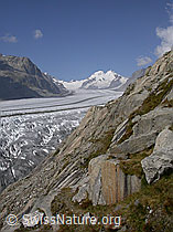 F000111: Platta: Aletschgletscher, Konkordiaplatz, Mönch