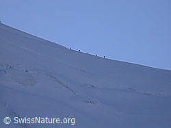 F000206: Seilschaft im Abstieg vom Weissmies
