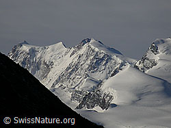 F000209: Signalkuppe, Zumsteinspitze, Dufourspitze, Nordend