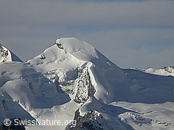 F000212: Saas Fee: Allalinhorn
