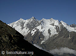 F000227: Hohsaas: Mischabel und Ulrichshorn