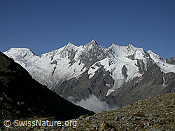 F000228: Alphubel, Täschhorn, Dom, Lenzspitze, Nadelhorn, Stecknadelhorn