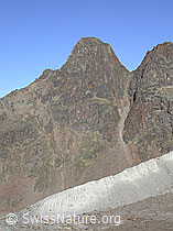 F000229: Hohsaas: Jegihorn