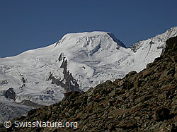 Foto: Jegihorn: Alphubel