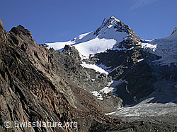 Foto: Am Jegihorn: Fletschhorn