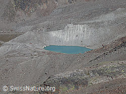 F000255: Jegihorn: Bergsee ob Saas Balen