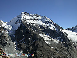 Foto: Jegihorn: Lagginhorn