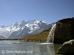 F000348: Kreuzboden: Mischabel und Bergsee