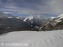 F001197: Hillehorn, Rothorn, Oberblatthorn, Bättlihorn, Binntal, Breithorn