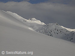 F001320: Winterliche Landschaft mit Hohsandhorn