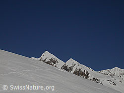 F001633: Verwehte Tierspur im Schnee und Turbhorn