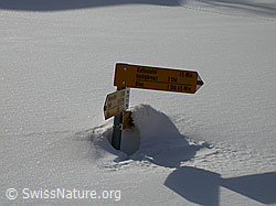 F001686: Eingeschneiter Wegweiser bei Dri Stafle