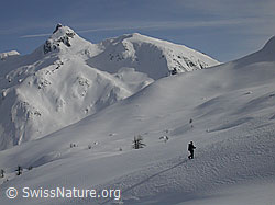 F001716: Person auf Skitour in unberührter Landschaft