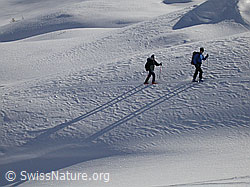 F001770: 2 Skitourenfahrer bei der Querung von Triebschnee