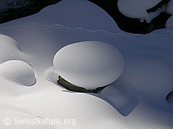 F001795: Eingeschneiter Mässerbach und Tierspur