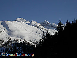 F001949: Holzerspitz, Ober Rappehorn und Turbhorn mit Schneedecke