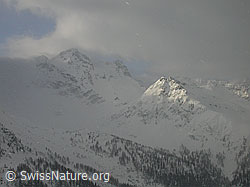 F002157: Schneefall und Streiflicht in Berglandschaft
