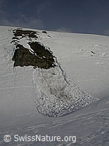 F002169: Kleine Nassschneelawine