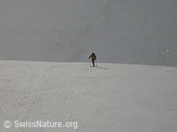 F002177: Skitourenfahrer im Horizont