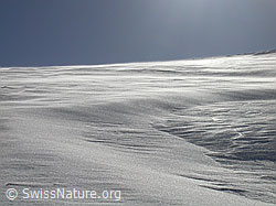 F002243: Schneeverfrachtung