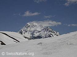 F002502: Ofenhorn mit 