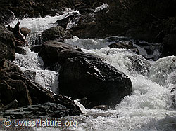 F002615: Mässerbach während Schneeschmelze