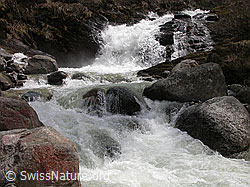 F002624: Bergbach während Schneeschmelze