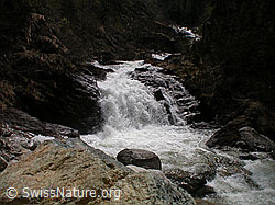 F002627: Schmelzwasser führender Mässerbach