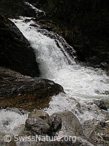 F002641: Tosender Wasserfall im Mässerbach