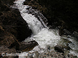 F002643: Wasserfall im Mässerbach bei Schneeschmelze