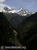 F002900: Twingischlucht, Scherbadung und Wannihorn