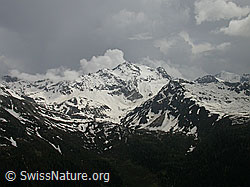 F002913: Gewitterstimmung über dem Schwarzhorn