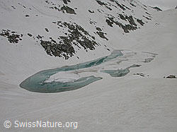 F002959: Mit Schnee und Eis bedeckter Bergsee