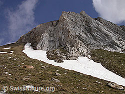 F002983: Dolomit-Felswand am 1. Turbechepf
