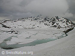 F003120: Grimselpass: Mit Eis bedeckter Totesee