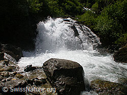 F003200: Breiter Wasserfall mit Felsblock