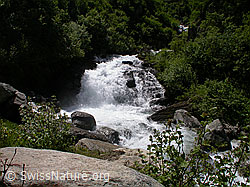 F003204: Wasserfall in grüner Umgebung