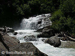 F003211: Bergbach mit Wasserfall in grüner Umgebung