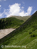 F003488: Klein Fülhorn von Imfeld aus