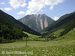 F003490: Imfeld: Aussicht ins Tal und Breithorn