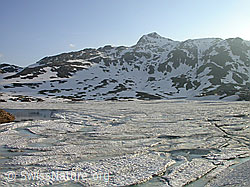 F003560: Griselpass mit gefrorenem See und Sidelhorn