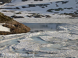 F003561: Grimselpass: Mit Eis bedeckter Totesee. Ausschnitt