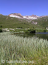 F004074: Halsesee mit Turbechepf und Turbhorn
