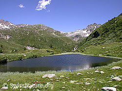 F004098: Halsesee mit Turbhorn, Mittlebärg und Ofenhorn